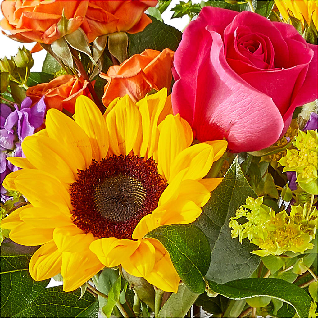 Vibrant Greetings Bouquet –  Flowers The Bouquet Of Roses, Tampa FL