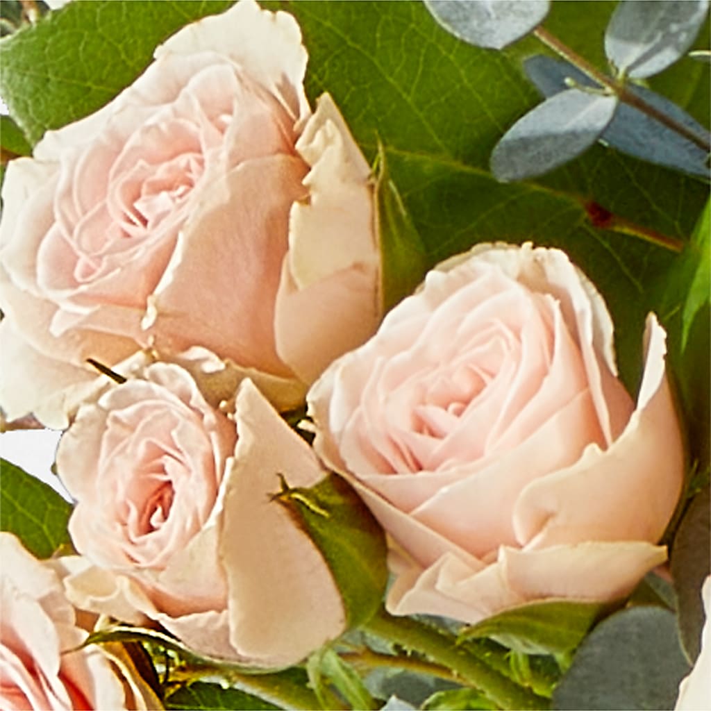 Inspired Bouquet –  Flowers The Bouquet Of Roses, Tampa FL