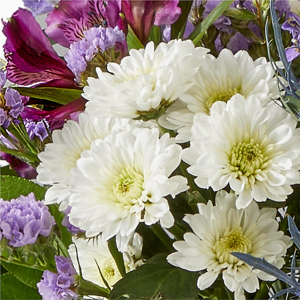 Shooting Star Bouquet –  Flowers The Bouquet Of Roses, Tampa FL