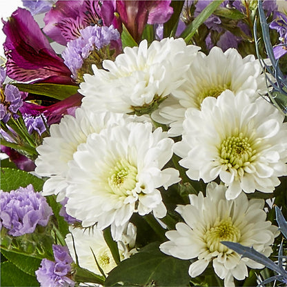 Shooting Star Bouquet –  Flowers The Bouquet Of Roses, Tampa FL
