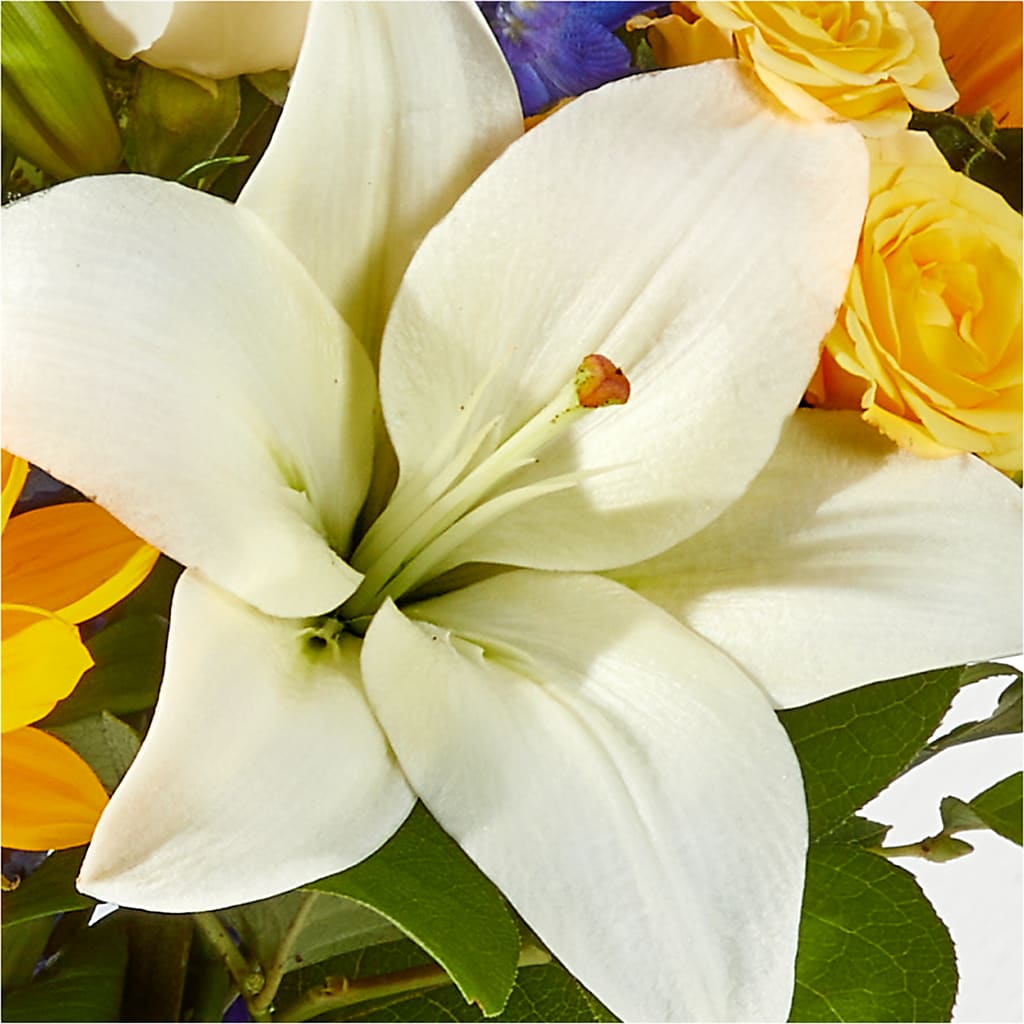 Wonderfully Sunny Bouquet –  Flowers The Bouquet Of Roses, Tampa FL