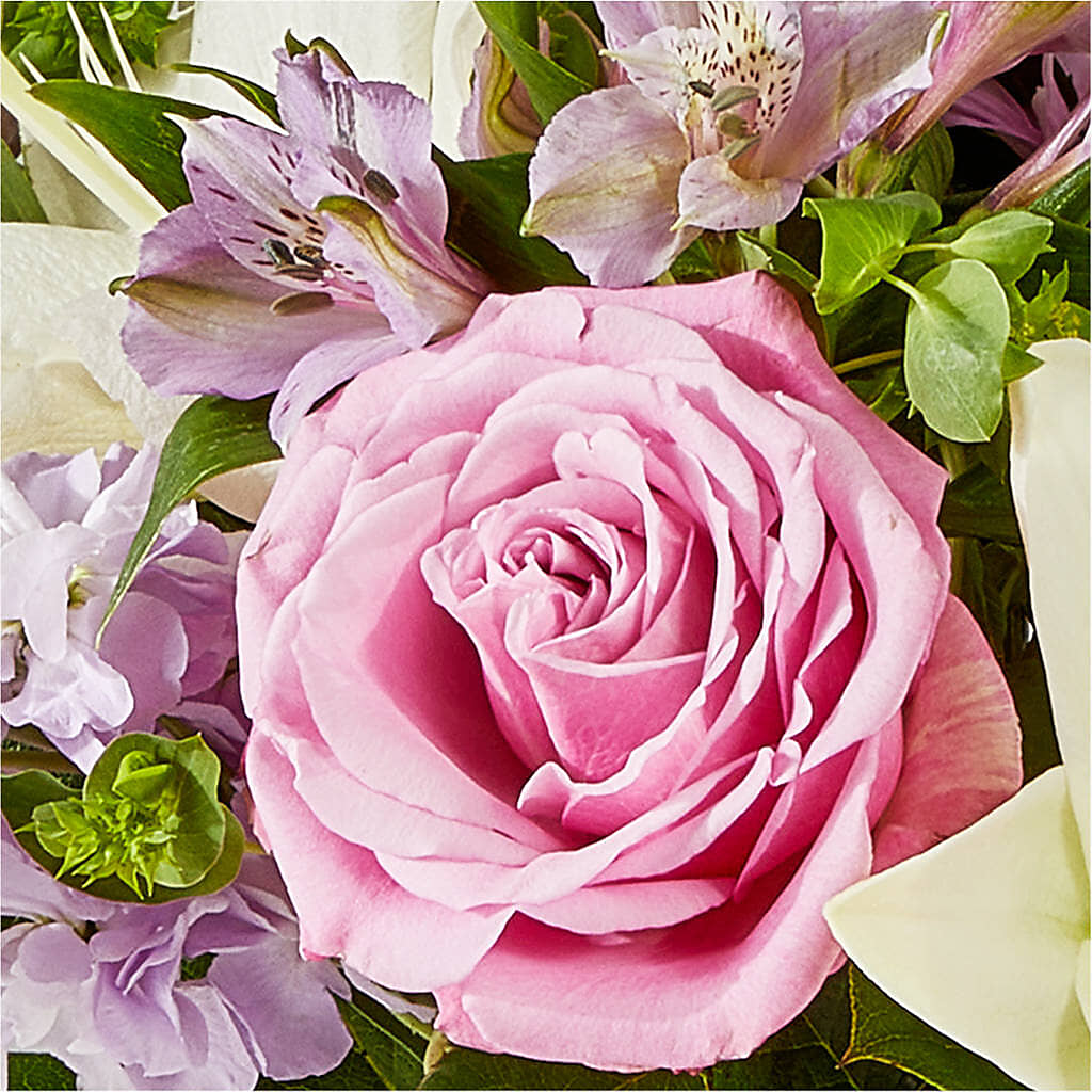 Daydreamer Bouquet –  Flowers The Bouquet Of Roses, Tampa FL