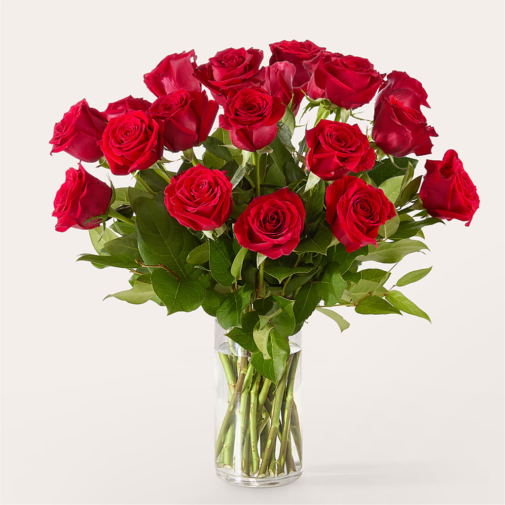 The One Red Rose Bouquet –  Flowers The Bouquet Of Roses, Tampa FL