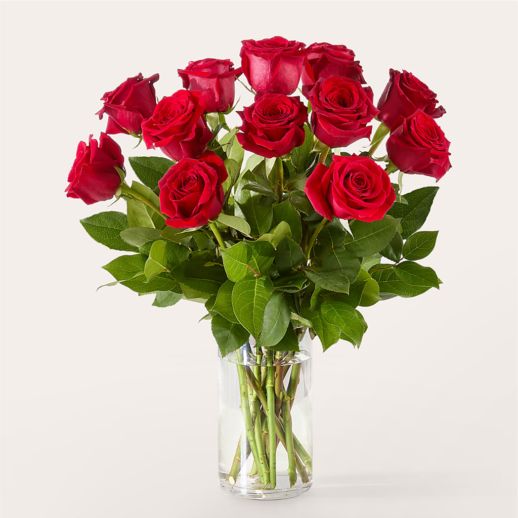 The One Red Rose Bouquet –  Flowers The Bouquet Of Roses, Tampa FL