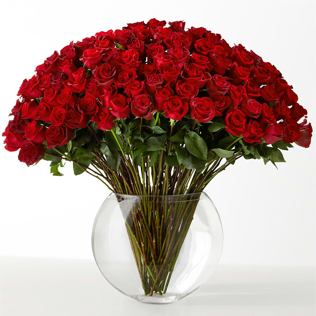 The Idealist –  Flowers The Bouquet Of Roses, Tampa FL
