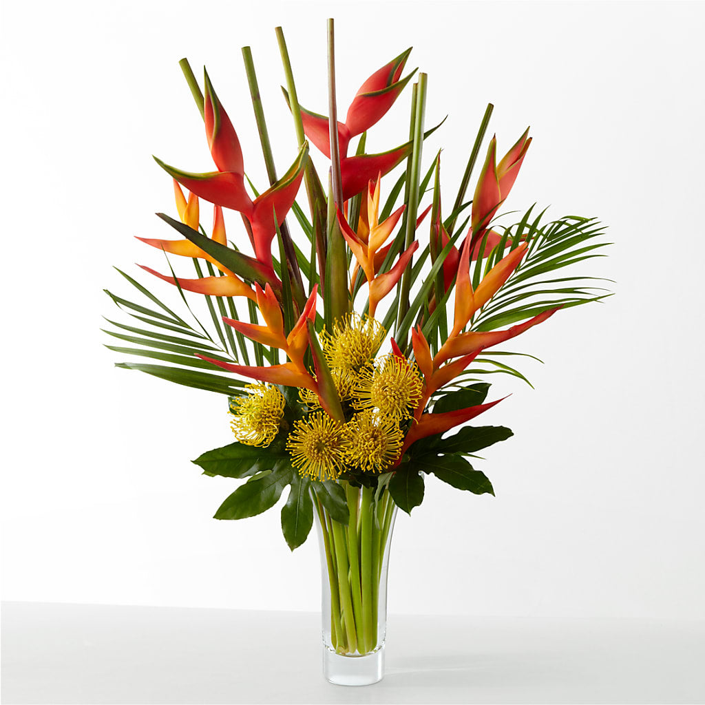 The Drama –  Flowers The Bouquet Of Roses, Tampa FL