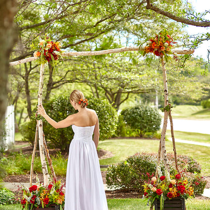 Arbor of Love Archway –  Flowers The Bouquet Of Roses, Tampa FL