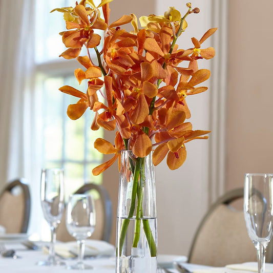 Orange Mokara Bud Vase –  Flowers The Bouquet Of Roses, Tampa FL
