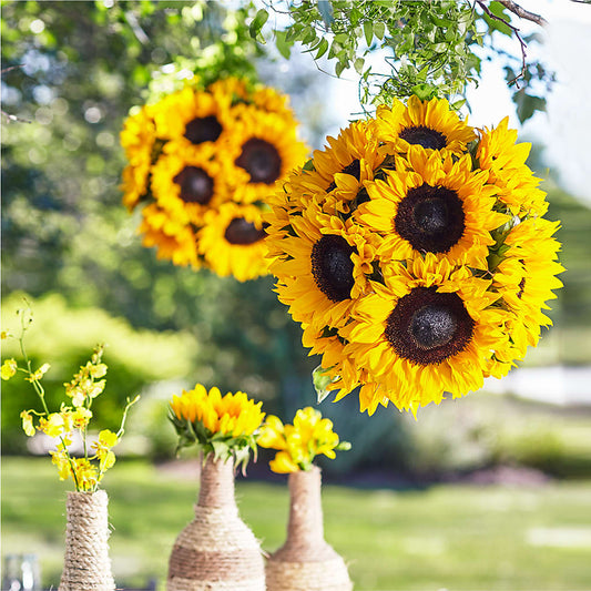 Sublime Garden Hanging Arrangement –  Flowers The Bouquet Of Roses, Tampa FL