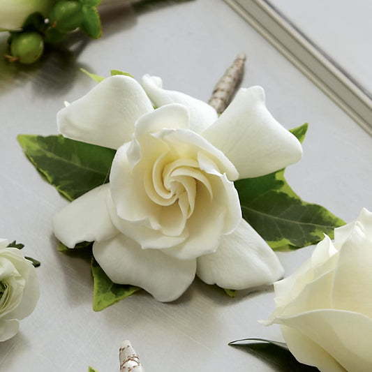 Gardenia Boutonniere –  Flowers The Bouquet Of Roses, Tampa FL
