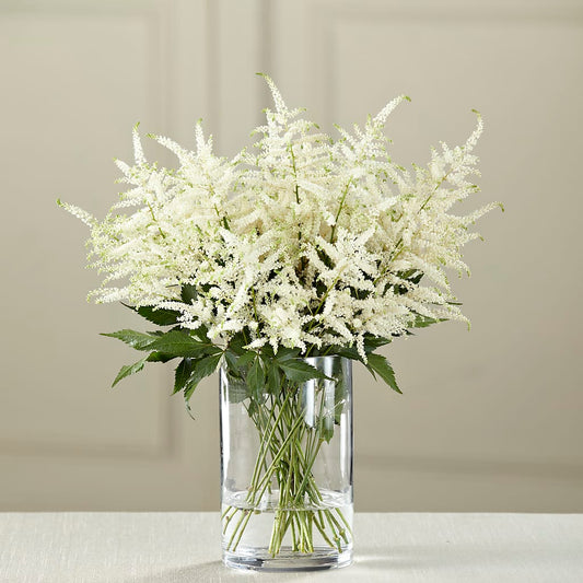 White Astilbe Bouquet –  Flowers The Bouquet Of Roses, Tampa FL