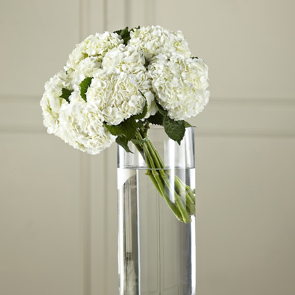 White Hydrangea Hand-Tied Bouquet –  Flowers The Bouquet Of Roses, Tampa FL