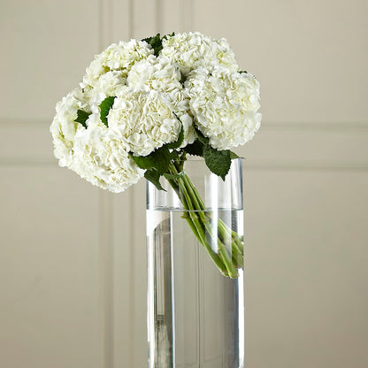 White Hydrangea Hand-Tied Bouquet –  Flowers The Bouquet Of Roses, Tampa FL
