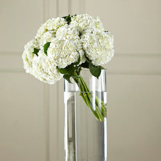White Hydrangea Hand-Tied Bouquet –  Flowers The Bouquet Of Roses, Tampa FL