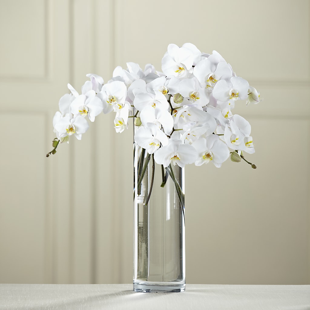White Phalaenopsis Bouquet –  Flowers The Bouquet Of Roses, Tampa FL