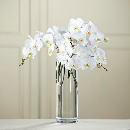 White Phalaenopsis Bouquet –  Flowers The Bouquet Of Roses, Tampa FL