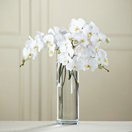 White Phalaenopsis Bouquet –  Flowers The Bouquet Of Roses, Tampa FL