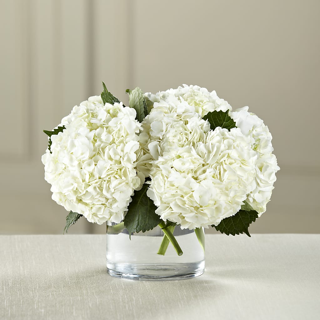 White Hydrangea Bouquet –  Flowers The Bouquet Of Roses, Tampa FL