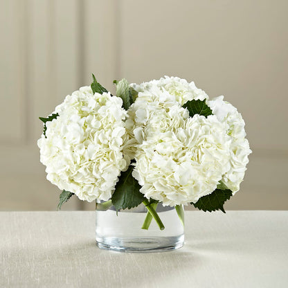 White Hydrangea Bouquet –  Flowers The Bouquet Of Roses, Tampa FL
