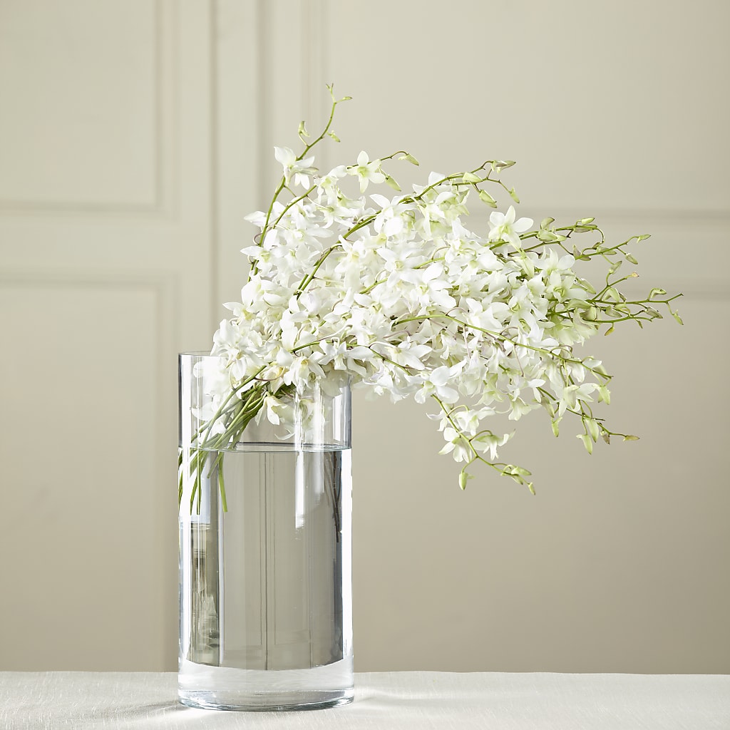 White Dendrobium Bouquet –  Flowers The Bouquet Of Roses, Tampa FL