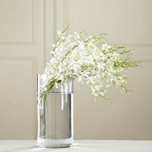 White Dendrobium Bouquet –  Flowers The Bouquet Of Roses, Tampa FL